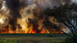 Terra dei fuochi. La “Campania Felix”, da tempo ormai è al centro delle cronache per gli interramenti di rifiuti che hanno contaminato quelle stesse terre che erano indiscutibilmente terre di purezza