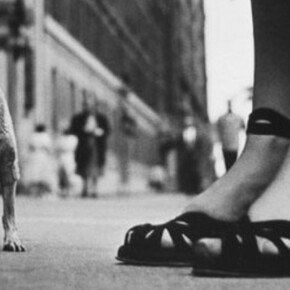 Re-Float the Catherine Couturier Family Post-Hurricane Harvey Benefit. Courtesy of Foto Relevance