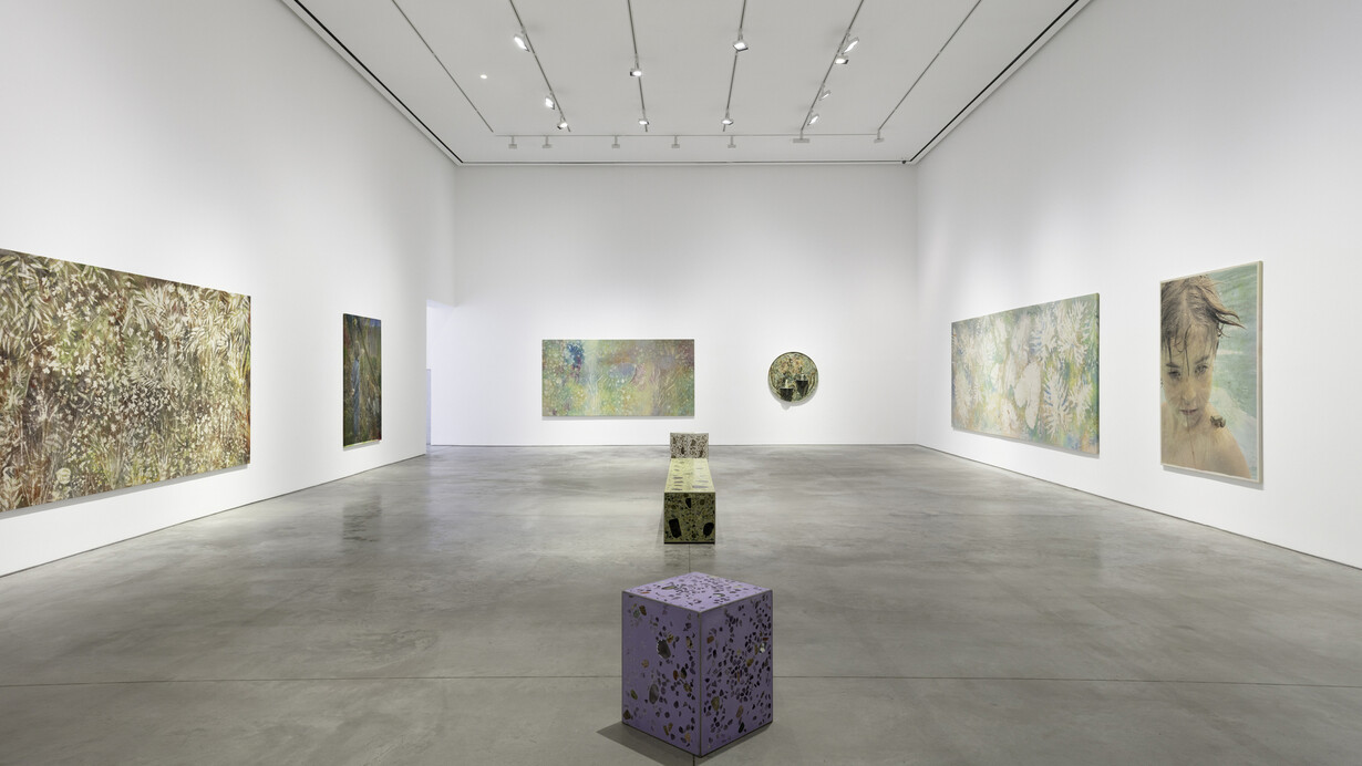 Sam Falls, Amongst the living, exhibition view. Courtesy of 303 Gallery 
