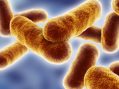 Antibiotici al microscopio