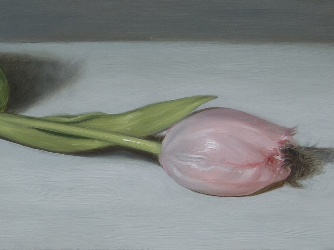 James Gillick, Gold & a Tulip (detail), Signed, Oil on gesso on wood, 5.67 x 17.13ins (14.4 x 43.2cm) © James Gillick

