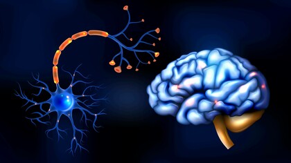 Illustrazione di cervello e neuroni