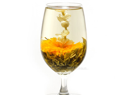 L'equilibrio perfetto