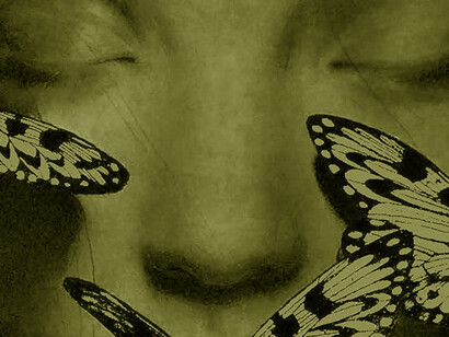 Pelle d'Asino, Illustrazione di Alessandra Maria 