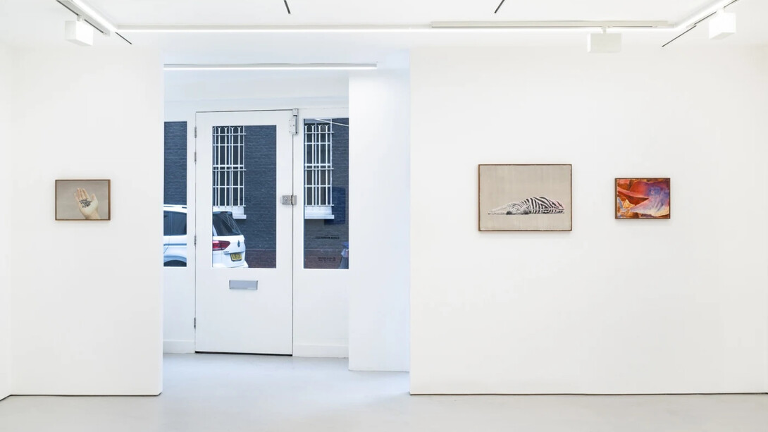 Ciarán Murphy, this appear, installation view. Courtesy of GRIMM Gallery