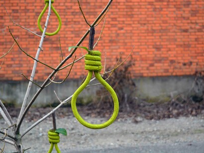 Disturbe. Courtesy of Wunderkammern Milan 