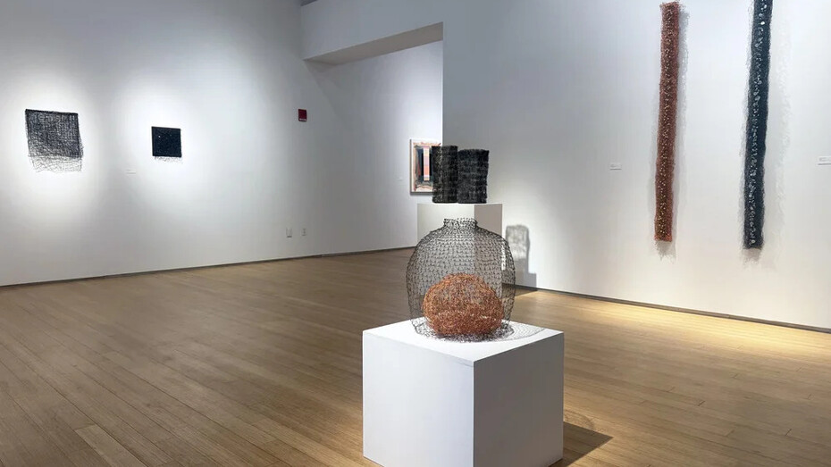 Nancy Koenigsberg, Crossed wires, exhibition view. Courtesy of Nancy Hoffman Gallery