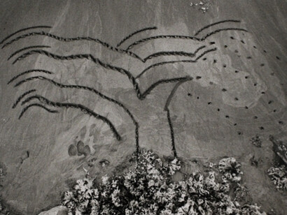 Drawing the Line. Courtesy of Bruce Silverstein Gallery