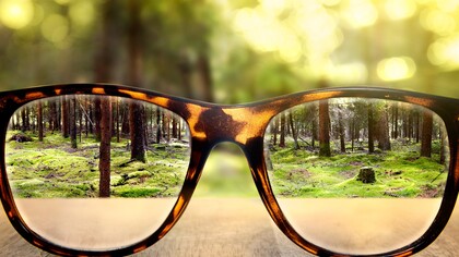 El mundo a través de unas gafas