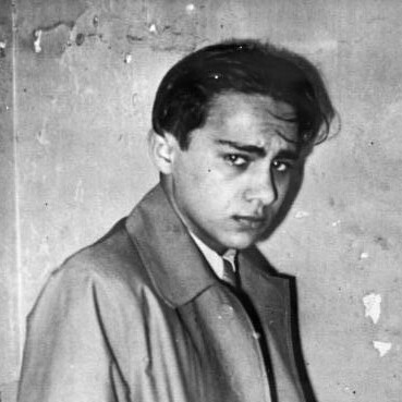 Herschel Feibel Grynszpan (nacido en 1921 y asesinado probablemente en 1945 en la cárcel de Magdeburgo), atentó el 7 de noviembre de 1938 en París contra el diplomático alemán Ernst vom Rath