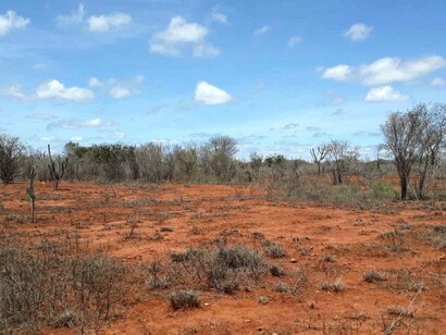 No Brasil, abraçamos uma ideia coletiva de que todos pertencemos ao sertão