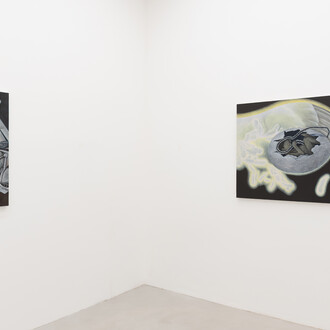 Isaac Soh Fujita Howell, Malign influence on the information interchange, vista della mostra. Cortesia di T293