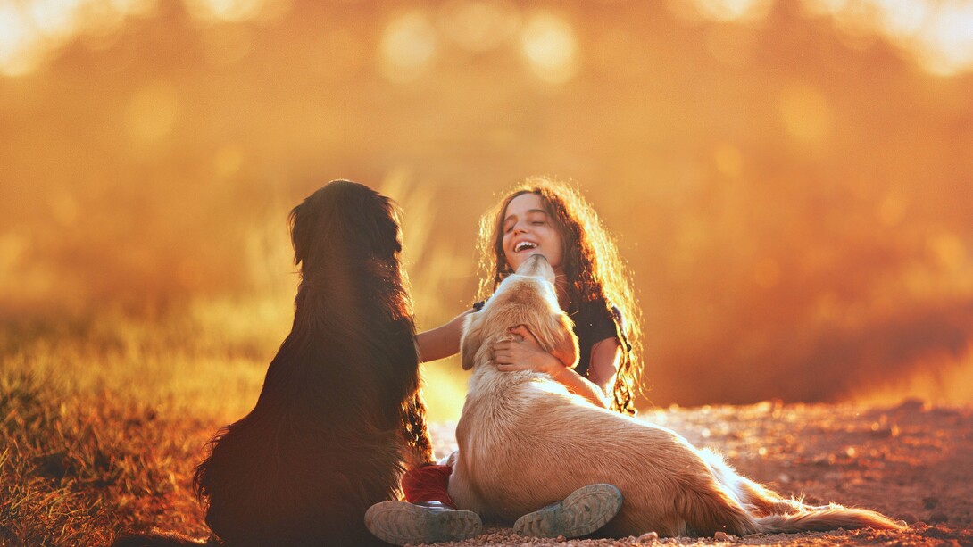 Menina brinca alegremente com seus cães