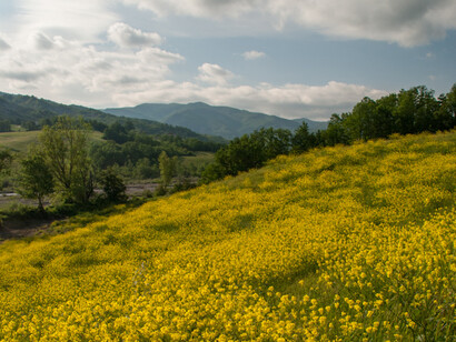 Valle del Ceno