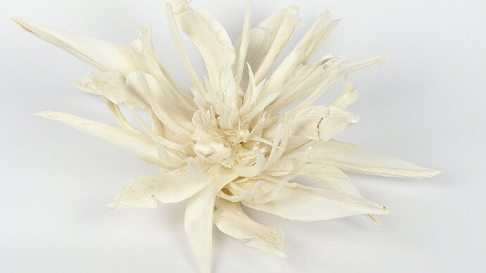 Tamara Ferioli. Courtesy of Officine dell'Immagine Gallery