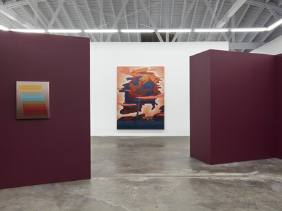 Nicolas Grenier. Eyes Adjusting Slowly, installation view. Courtesy of Luis De Jesus Los Angeles