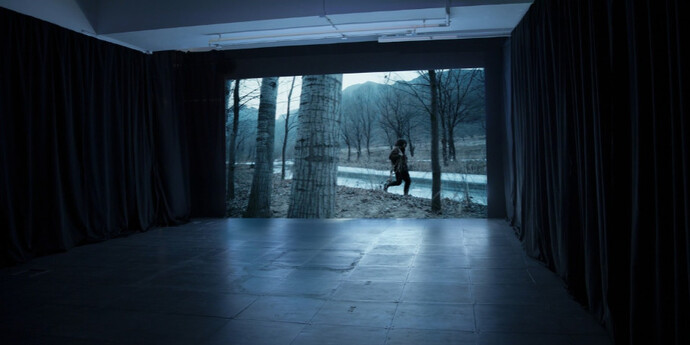 Diary of a Pioneer. Courtesy of de Sarthe Gallery