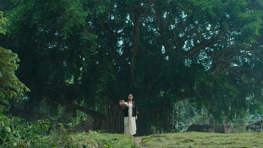 Leyla Steven, Pahit Manis, Night forest, 2024 (video still). Courtesy of Art Gallery of NSW