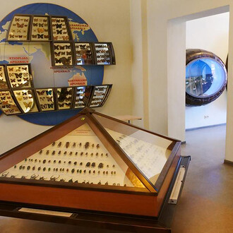 The world of insects, exhibition view. Courtesy of the Latvian National Museum of Natural History