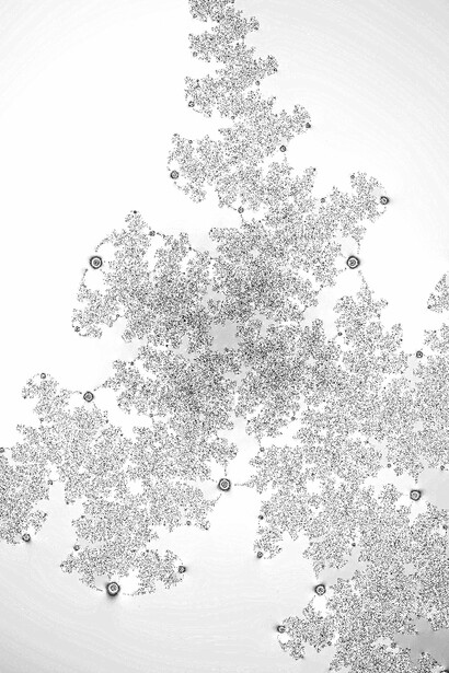 Emanuela Guggiola Pasolini