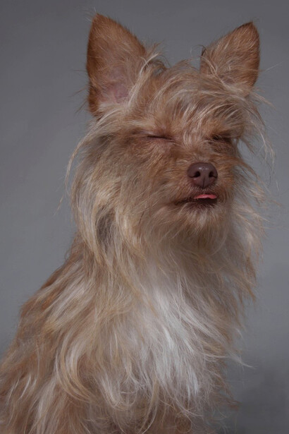 Paul Solberg, Stories. Courtesy of Rafael Gallery