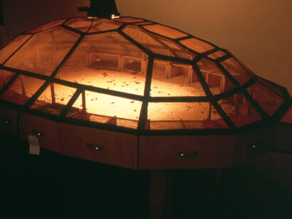 Art and China after 1989. Courtesy of Guggenheim Museum Bilbao