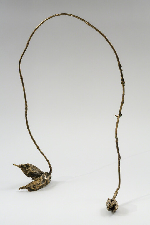 The Speculative Gaze. Courtesy of Freight+Volume