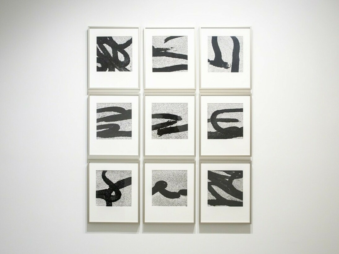 Monochrome, Exhibition view. Courtesy of Bruce Silverstein Gallery 