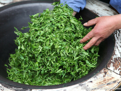 Preparazione delle foglie di Longjing
