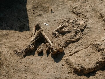 Scheletro di adulto rannicchiato all'interno di stanza con altare. Per le immagini si ringrazia il Ministero degli Esteri