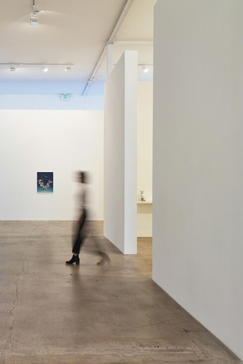 Damien Flood. Courtesy of Diane Rosenstein