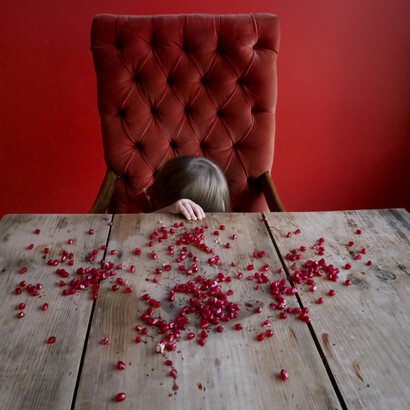 Pomegranate Seeds, Scout, Rockport, Maine, 2012