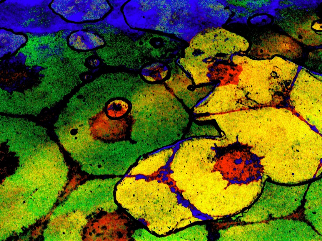 Kleoniki Vanos, Edges Of Time, 500 x 500