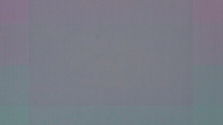 No Paintings. Courtesy of Nathalie Karg Gallery