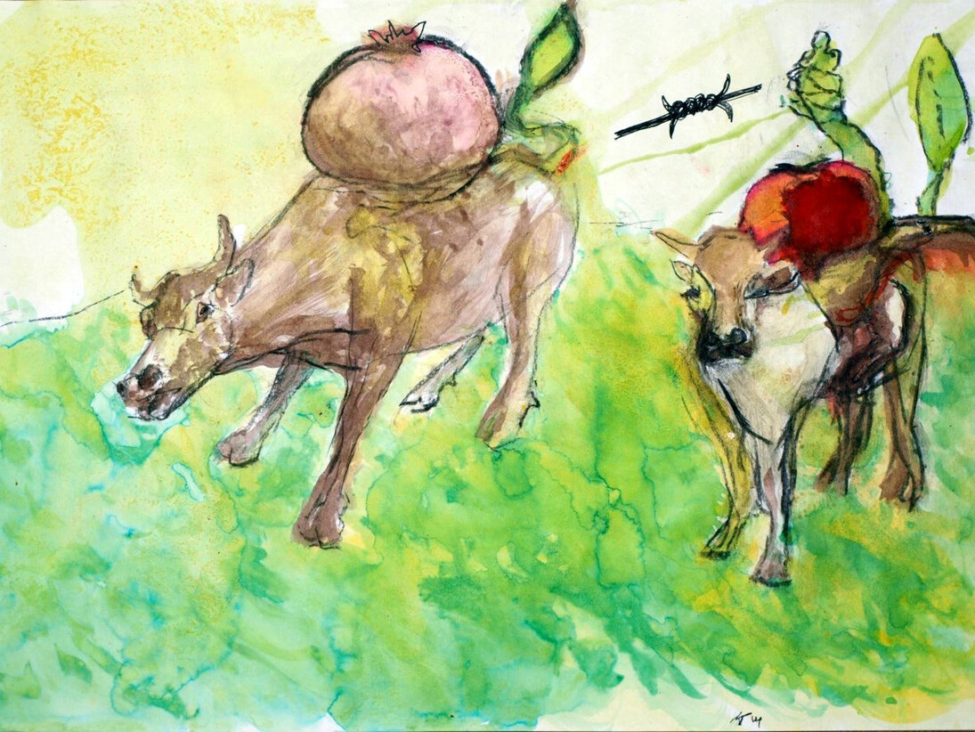 Milan Todorovic, Cows