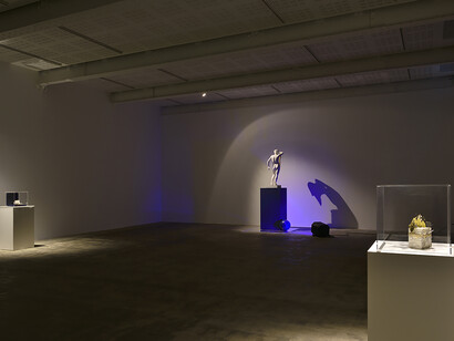 Installation view, 2019, Courtesy Marian Goodman Gallery and the Artist
