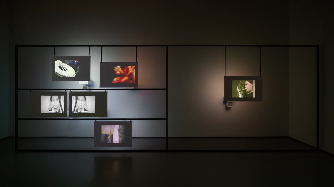 Amar Kanwar, Co-travellers, veduta della mostra. Cortesia di Punta della Dogana