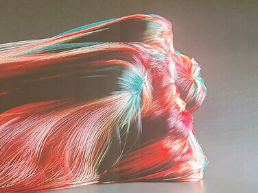 Transguration (2024), Universal Everything