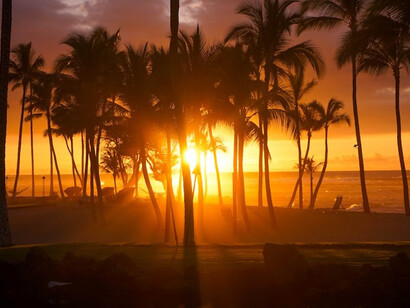Mesmerizing allure of Hawaii's sunset with a silhouette photo of palm trees at one of a kind Hawaii in Oahu