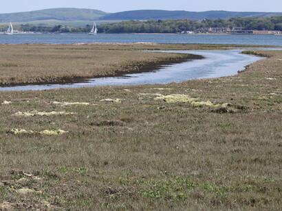 Salt Marshes, Keyhaven Marshes, ph. Gehan de Silva Wijeyeratne