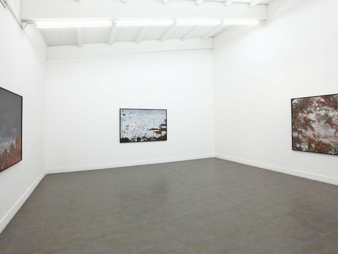 The Floating World, Exhibition view. Courtesy of Brand New Gallery
