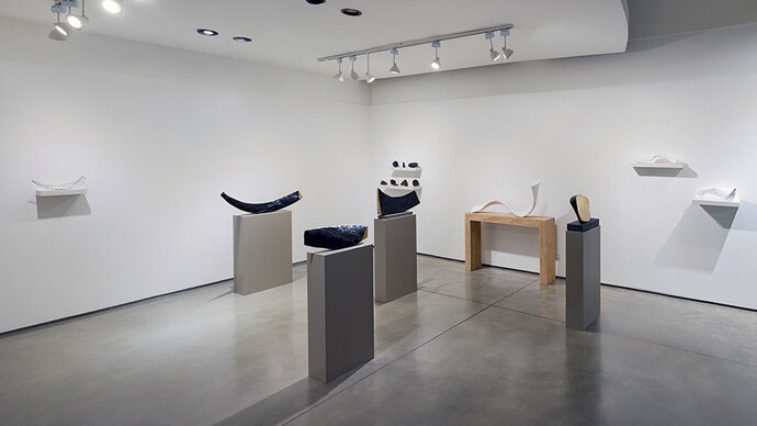 Fabio Miniotti, Late bajo la piel, vista de exhibición. Cortesía de Otto Galería