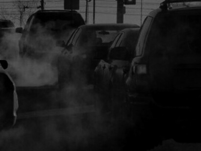 Los gobiernos y las organizaciones internacionales que se preocupan o afirman preocuparse por la salud de las personas deben comenzar por proteger el medio ambiente