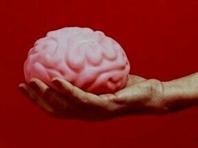 Enquanto nossos órgãos sensoriais coletivamente captam bilhões de bits de informação por segundo, nosso processamento cognitivo é limitado a meros 10 bits por segundo