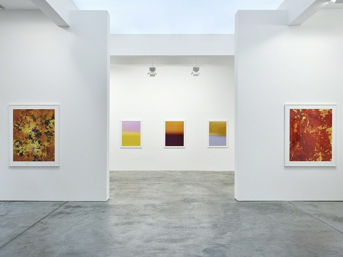 James Welling. Chronology, Exhibition view. Courtesy of Marian Goodman Gallery