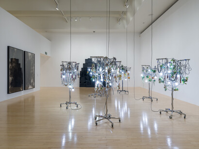 Installation view of Diary of flowers: Artists and their worlds, March 9, 2025–January 4, 2026 at
MOCA Grand Avenue. Courtesy of The Museum of Contemporary Art (MOCA). Photo by Jeff
McLane