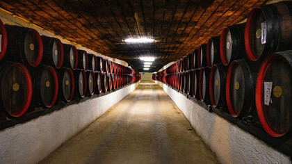 Desfrute da estação com um bom vinho! Saiba tudo sobre vinhos orgânicos, biodinâmicos e naturais e como eles influenciam sua saúde e o meio ambiente