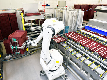 Industrial production of bakery products using automated machinery and conveyor systems in a high-tech food processing facility