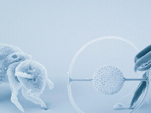 Physics. Courtesy of Deutsches Museum