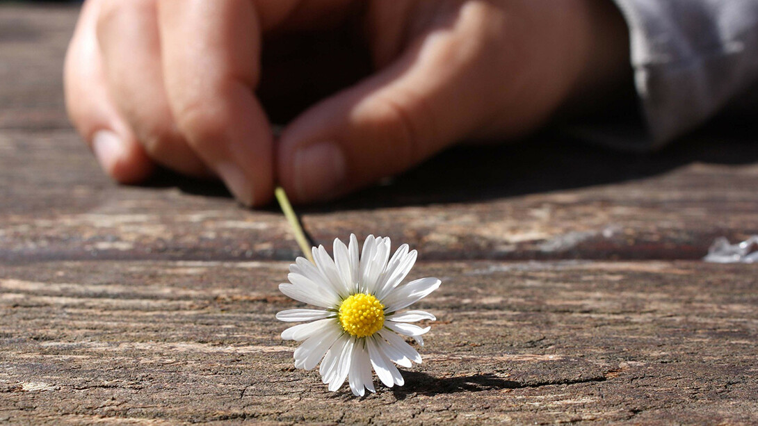 In un mondo sempre più egoista e qualunquista, il gesto del dono ha subito una trasformazione